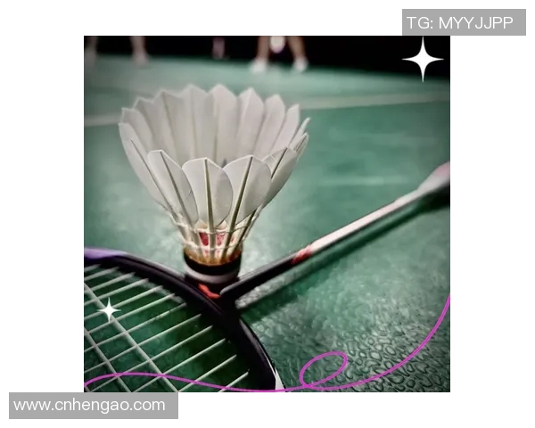 羽毛球装备选购指南:必备训练器材推荐与使用技巧分享 羽毛球装备选购指南:必备训练器材推荐与使用技巧分享